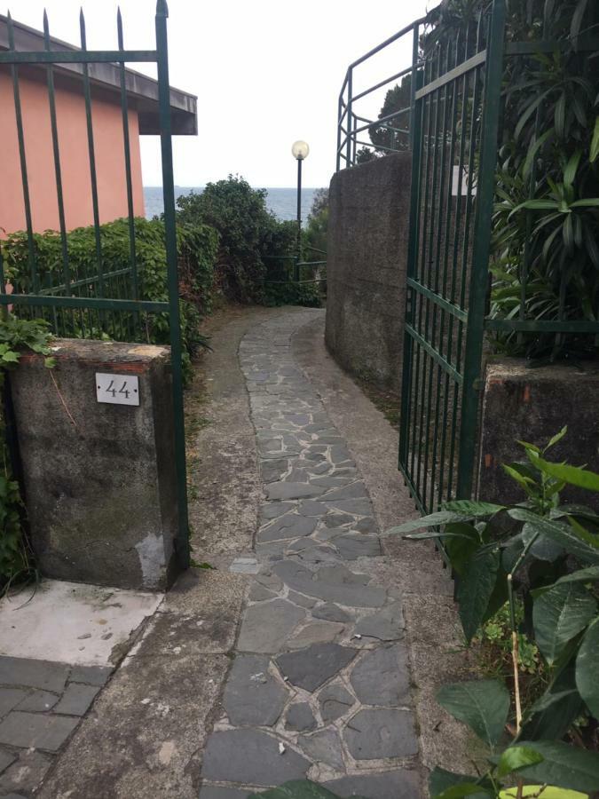 Cinqueterreblu Verdelimone *